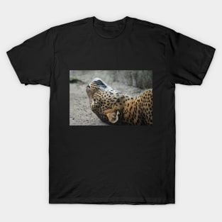 Have You Ever Had One Of Those Days, Where You Just Can't Get Out Of Bed? T-Shirt